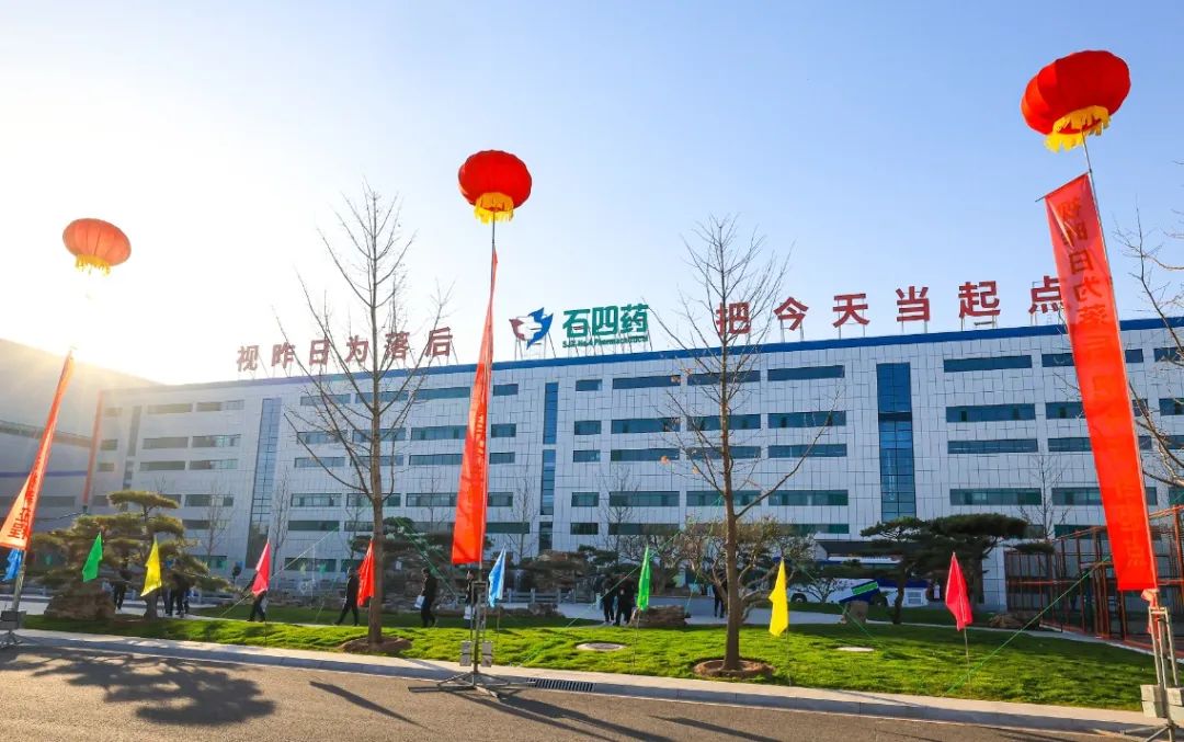 无线石家庄|贝塔诺向高而攀的新动能